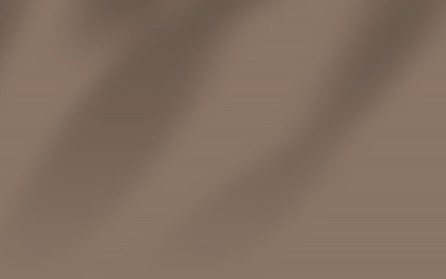 Seme Prato Bermuda Stard ICL Gramigna 250gr | Agraria Di Vita - Foto 3