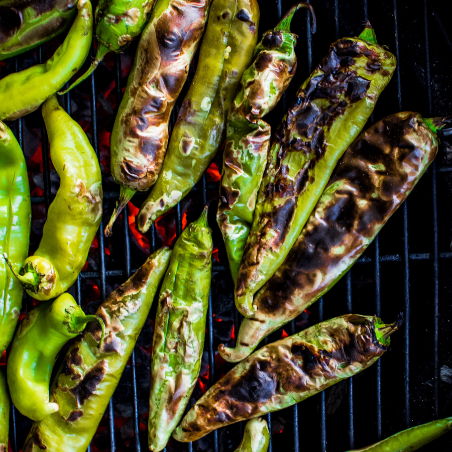Rocky Hot Mountain Barbecue